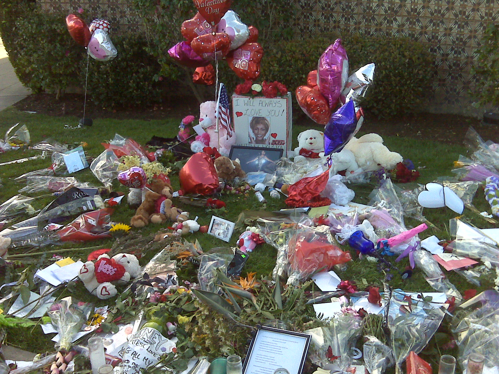 Whitney Houston, The Queen of Pop: Makeshift Memorial at the Beverly Hills Hotel Where Whitney Houston Was Found Dead in Her Hotel Room, Luxury Suite #434